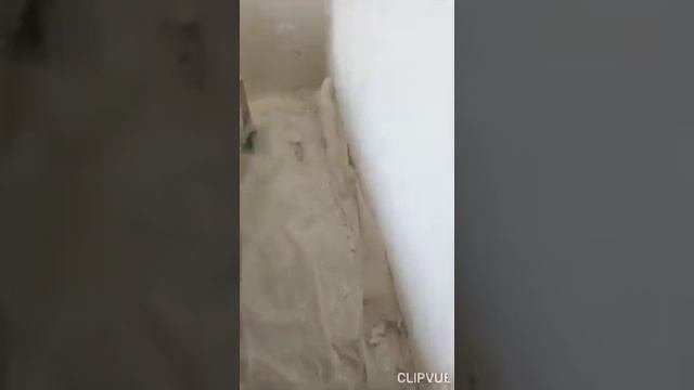 Вот что случается, если чистовую отделку дома делать в неотапливаемом помещении смотреть онлайн