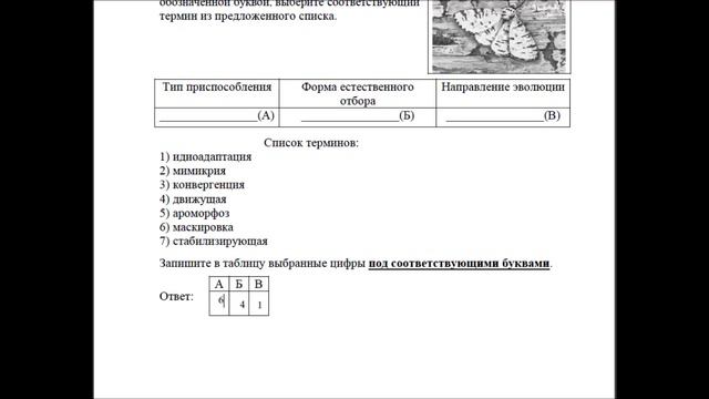 Задания 20 Демовариант 2018 ЕГЭ по биологии смотреть онлайн