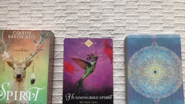 The Spirit Animal Oracle 34/68 Hummingbird Spirit guide book audio description смотреть онлайн