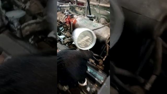 замер компрессии контрактный движок хонда SRV