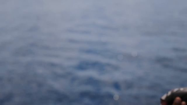 Light Jigging Madness at Bintulu! смотреть онлайн