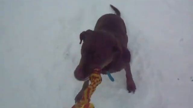 Tug of war from a person's perspective смотреть онлайн