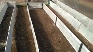 Вечные грядки в теплице