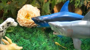 АКУЛЫ против МЕДВЕДЯ!!! Страшный сон и чудесное спасение!!! Мультики про акулу и животных 2019