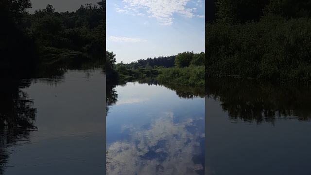 РАССКАЗ ПРО ОРГАНИЧЕСКОЕ ЗЕМЛЕДЕЛИЕ ПО ДЕРЕВЬЯМ КУСТАМ ВИНОГРАДЕ смотреть онлайн