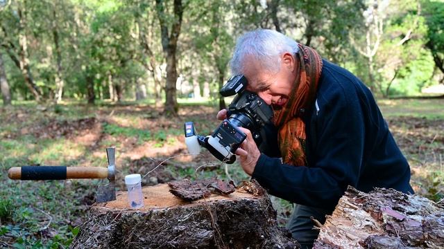 I review the Godox MF-12 dual flash system смотреть онлайн