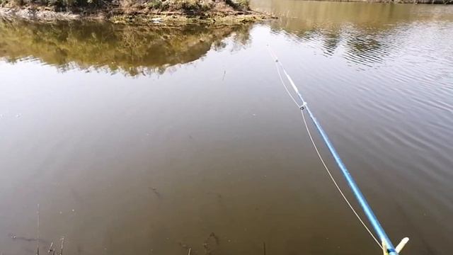 Рыбалка на поплавок вобла смотреть онлайн