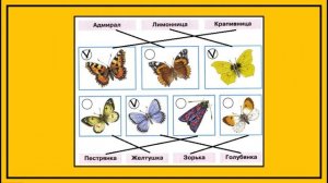 Окружающий мир 1 класс рабочая тетрадь 2 часть. Почему мы не будем рвать цветы