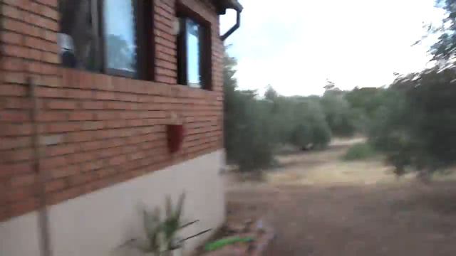 Jaime trampas. смотреть онлайн