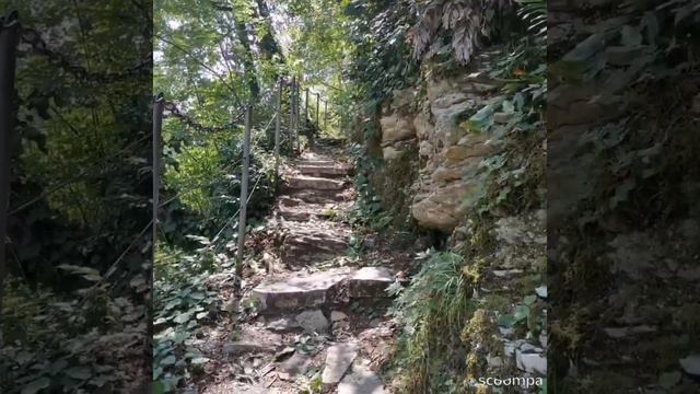 Сочи. Тисо-самшитовая роща смотреть онлайн