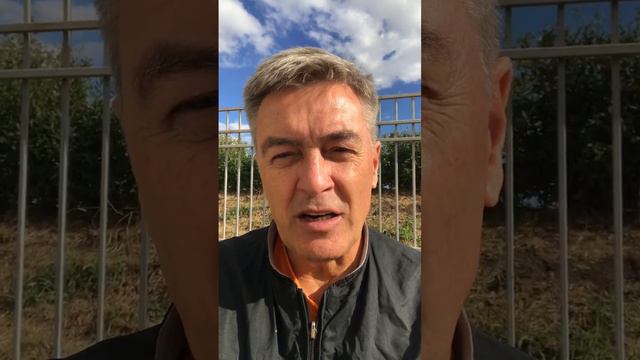 Зрение 100% -это реально! смотреть онлайн