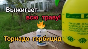 Как избавиться от сорняков. Гербицид торнадо☠️
