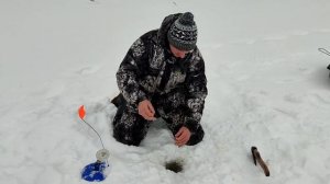 Рыбалка на жерлицы, в конце февраля! Ловля щуки на жерлицы!