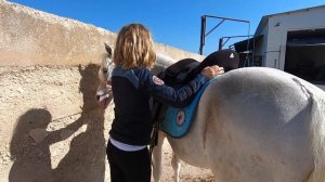 Конный спорт. Тренировка для детей, советы от Pro!