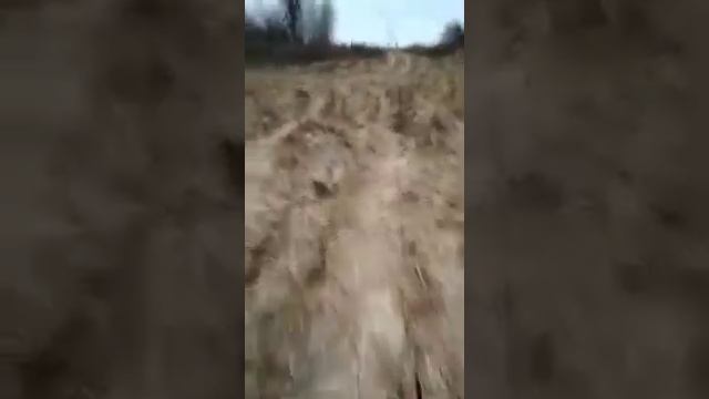 Что нужно знать, прежде чем завести собаку!Первые прогулки со щенком русского охотничьего спаниеля. смотреть онлайн