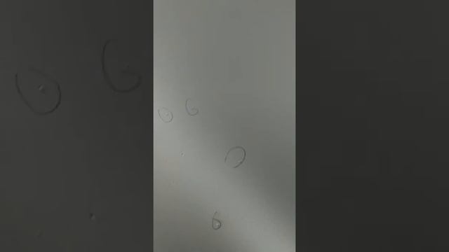 Маздофобия: страх перед Mazda