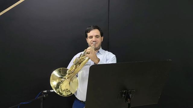 Wagner Gotterdamerung 2nd horn excerpt смотреть онлайн