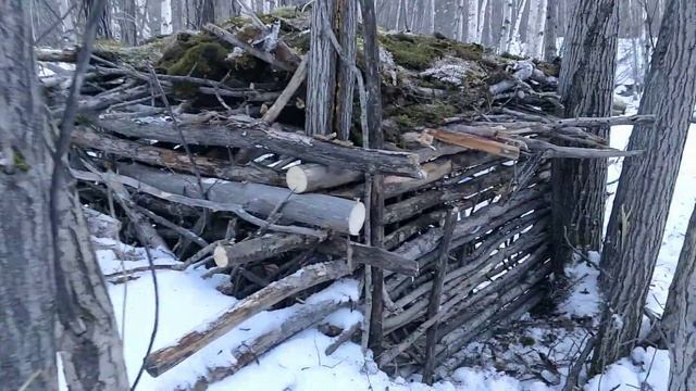 День рождения ТЖ в лесу смотреть онлайн