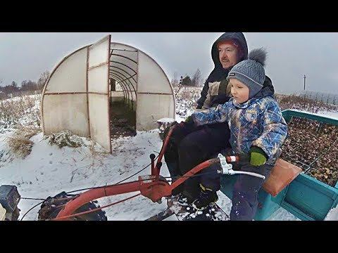 Зима-то будет вообще?! Вот так зимуют будущие саженцы. Как заказать на весну? смотреть онлайн
