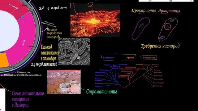 Появление озонового слоя и эукариотов в Протерозое смотреть онлайн