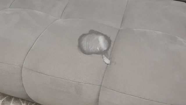 Тест/ Обзор на всеядный пылесос Xiaomi Deerma TJ200 смотреть онлайн