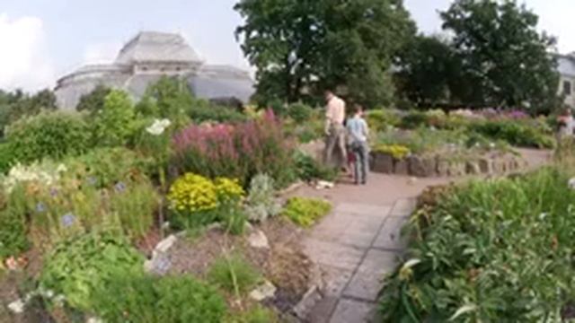 Ботанический Сад во власти роз смотреть онлайн