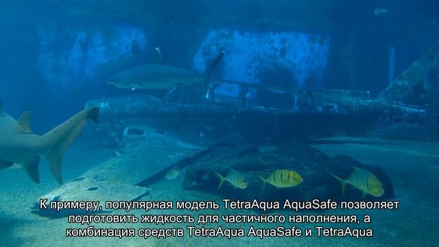Как подготовить воду для аквариума? смотреть онлайн