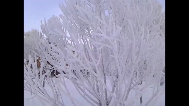РОЖДЕСТВО ХРИСТОВО Христос Рождается СЛАВИТЕ🌟Ирмосы рождественского канона смотреть онлайн