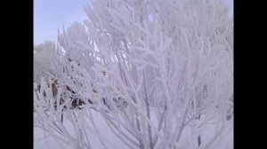 РОЖДЕСТВО ХРИСТОВО Христос Рождается СЛАВИТЕ🌟Ирмосы рождественского канона