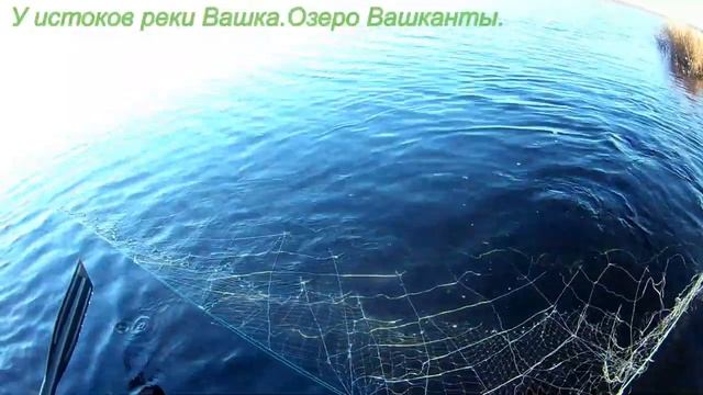 К истокам реки Вашка,озеро Вашканты . Долгая и трудная дорога к озеру,/день 1. смотреть онлайн