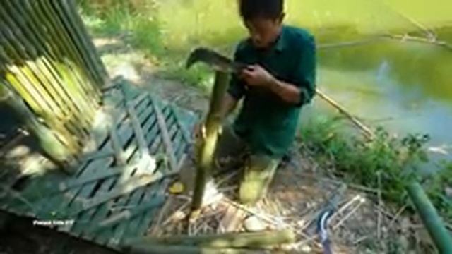 Full video - Expanding the chicken farm, a day in the forest, wild alone, survival - Forest Life CT смотреть онлайн
