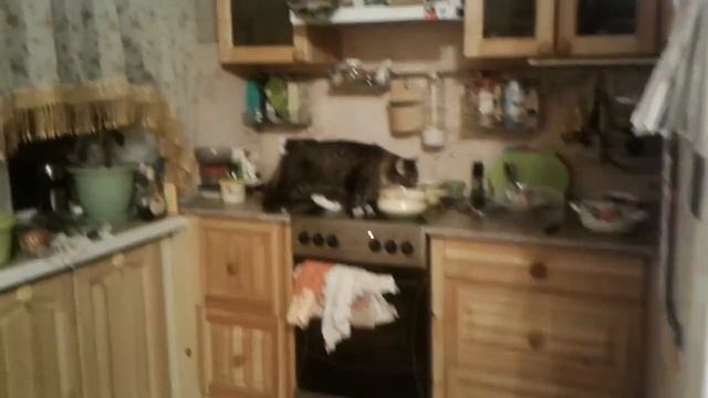 Когда наглость второе счастье смотреть онлайн