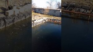 Обогащение пруда кислородом.