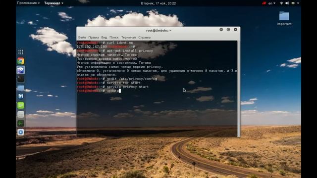 Изменение ip Kali Linux 2 0 смотреть онлайн