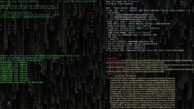 Hack the box - Laboratory [Easy] смотреть онлайн