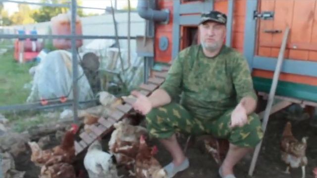 Заготовка овощей на зиму для кур несушек. Ответы на вопросы. смотреть онлайн