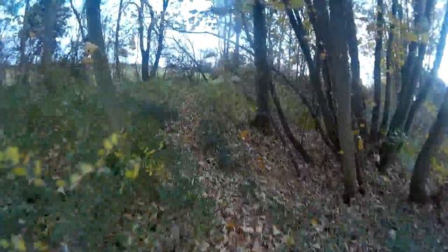 Dirt Bike Adventures!! смотреть онлайн