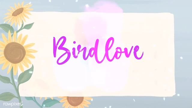 20 CUTE AESTHETIC CALLIGRAPHY FONTS/Calligraphy Fonts/Aesthetic Free Download Fonts #Arrkellychanne смотреть онлайн