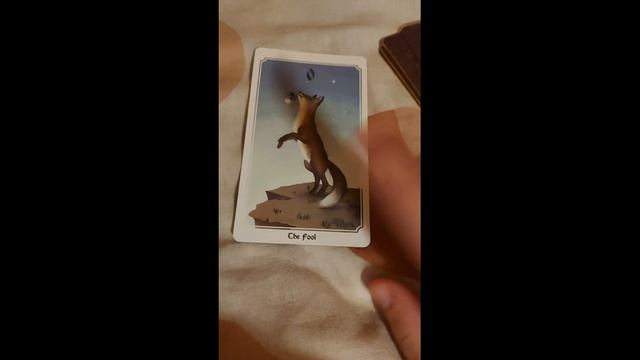 Гадаю на картах таро свою совместимость с баттловыми площадками смотреть онлайн