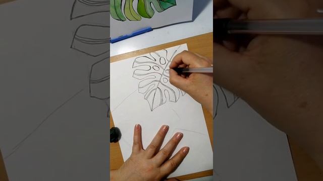 Листья монстеры ☘️ смотреть онлайн