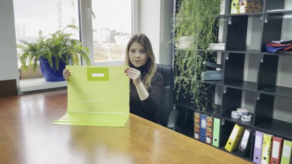 Салатовые пакеты с вырубной ручкой | Купить в интернет-магазине упаковочной продукции WebPack.ru