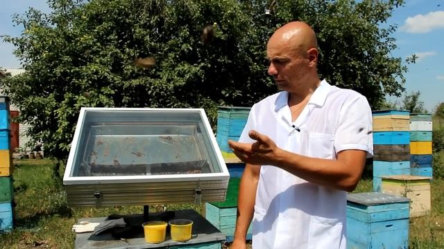 Воск - который пропадает. смотреть онлайн