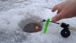 Зимняя рыбалка на р.Волхов 2023. Часть 4. Рука устала от клёва, но...