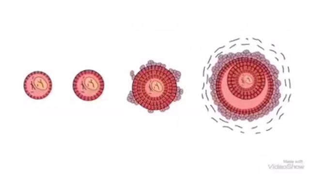 Buni Homilador Bo’lishni Istaganlar Ko’rsin