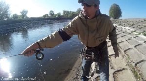 Ловля нахлыстом, заброс и как ловить на нахлыст для начинающих на реке Ирпень, рыбалка под Киевом