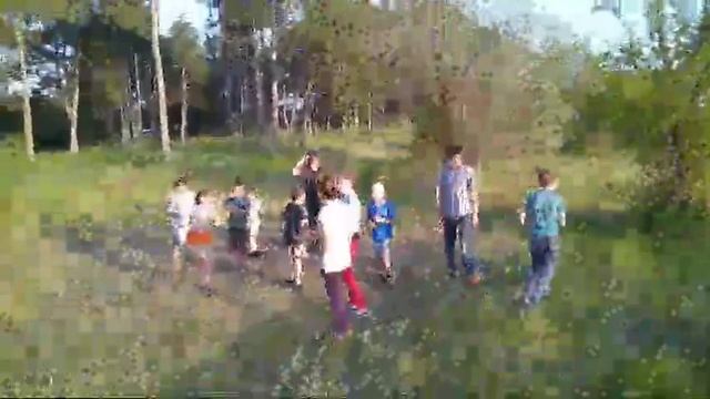 Отдыхаем с детьми в лесу