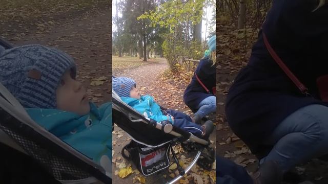 Белка грызёт орешки # Павловск смотреть онлайн