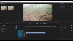Как улучшить картинку с подводной камеры FocusFish