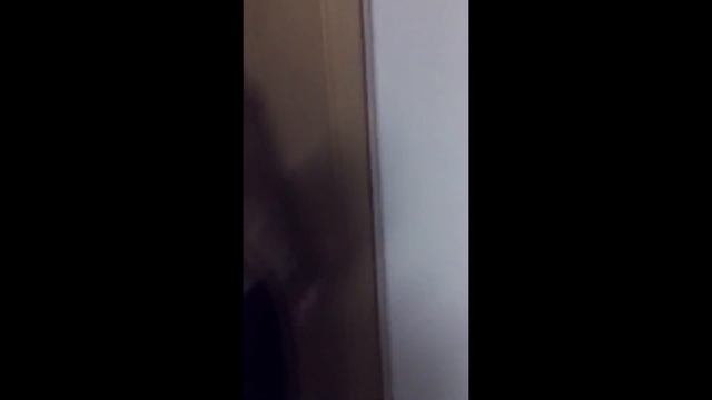 Мейсон и Данилкины Хоромы. Январские будни смотреть онлайн
