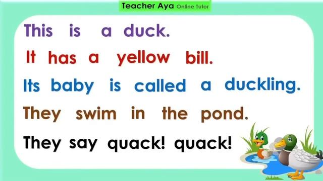 Reading lesson | Compilation | Teacher Aya Online Tutor смотреть онлайн